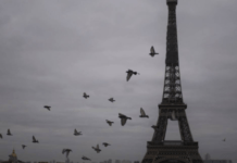 माली में फ्रांस की एयर स्ट्राइक